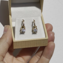 Load image into Gallery viewer, E1020 | Drop Earrings with White Diamonds