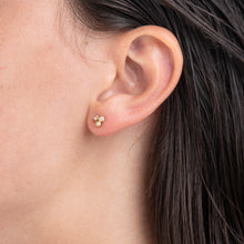 Load image into Gallery viewer, E1001 | Cluster Stud Earrings with Diamonds