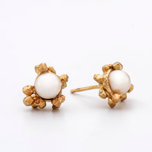 Load image into Gallery viewer, E1002 | Pearl Cluster Stud Earrings