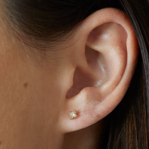 E1031 | Little Diamond Stud earrings