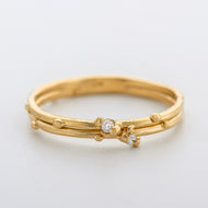 DR1034 | Double Band with Diamonds
